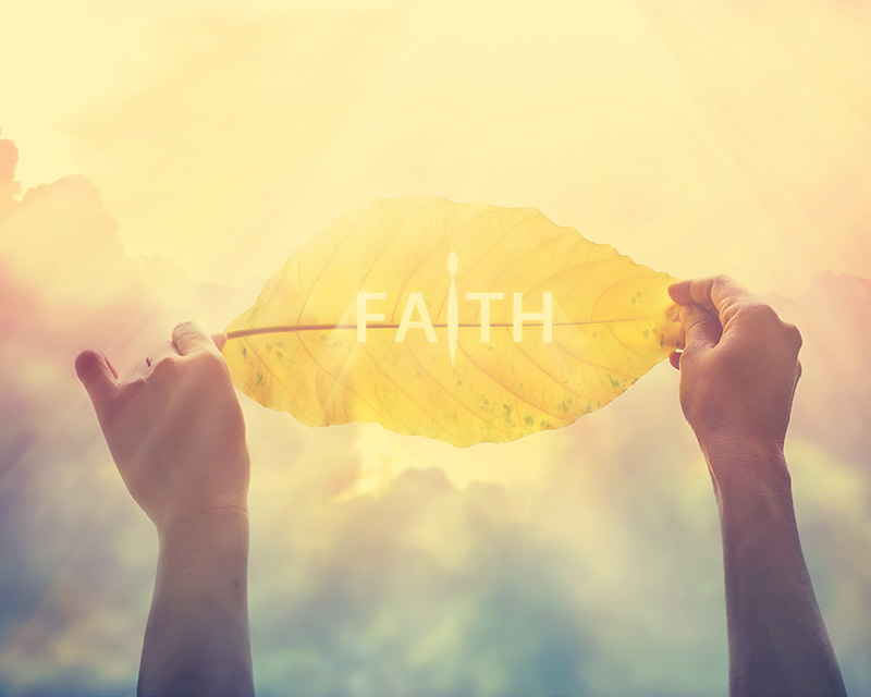faith-inclusive-counseling-plano-tx Faith inclusive counseling